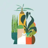 Cat and plants - design