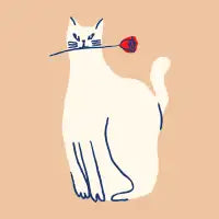 Catsanova - design