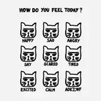 How do you feel today - design