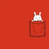 Pocket pet bunny - design