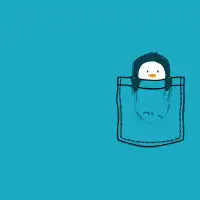 Pocket pet penguin - design