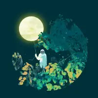 Terrarium - design