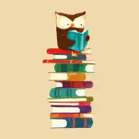 Wise owl - design