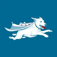 Chicago Super Dog - design