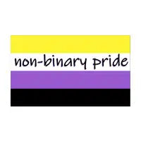 non-binary pride - design