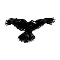 Spread your Wings - design