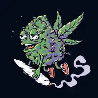 Flying Buddy - design