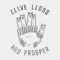 Llama Blessings - design