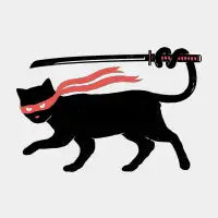 Ninja Cat - design