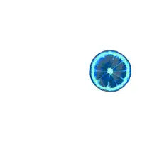 Ghost Lemon - design