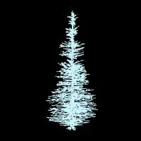 Ghost Pine - design
