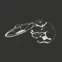 Cosmic Fetch - design