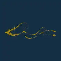 Sound Wave - design