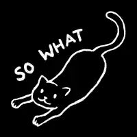 SO WHAT - design