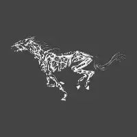 Death Horse - design