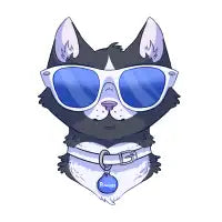 Cool Cat - design