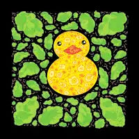 Duck - design