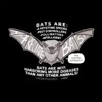 Appreciate Bats! - design
