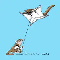 Flying Squirrel Training - design