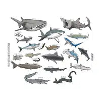 Shark Infested Merchandise - design