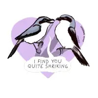 Shriking - design