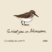 This is not a Sandpiper - design