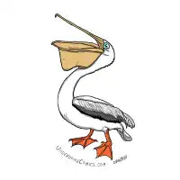 You PeliCAN Do It! - design