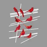 even more cardinals - design