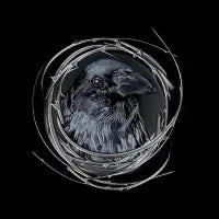 Snacks the Crow - design