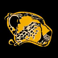Cheetah - design
