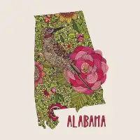 Alabama - design