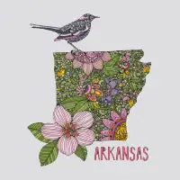 Arkansas - design