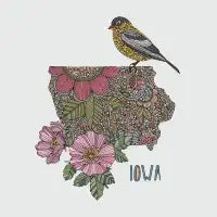 Iowa - design