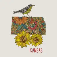 Kansas - design