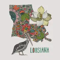 Lousiana - design