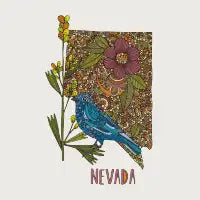 Nevada - design