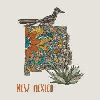 New Mexico - design