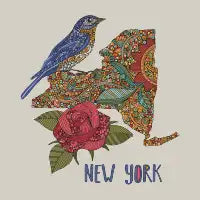 New York - design