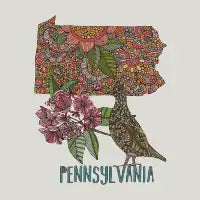 Pennsylvania - design