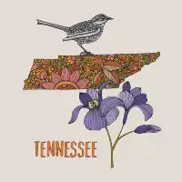 Tennessee - design