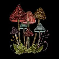 The Toadstool Cover - design