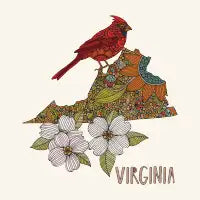 Virginia - design