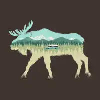 Beautiful and Wild Life - design