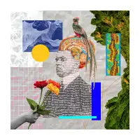 Cynosure - design