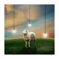 Spacesheep - design