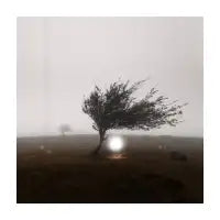 When Everything Becomes Obvious - design