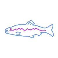 Retrowave Salmon - design
