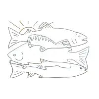 Salmon Trout Bass Fishing Sunset - design