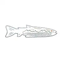 Trout River Mountain - design
