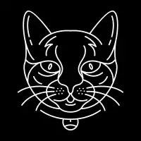 Cat 2 - design